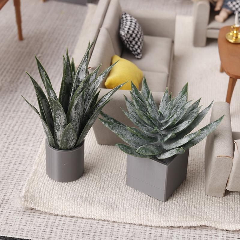 Miniature Aloe Vera Potted Pla - огляд і ціна Aloe Vera Pot