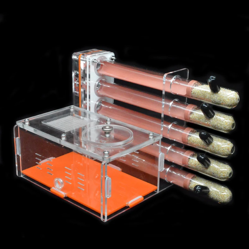 DIY Acrylic Ant Farm 5 pcs 18- - огляд і ціна Begonia Rex