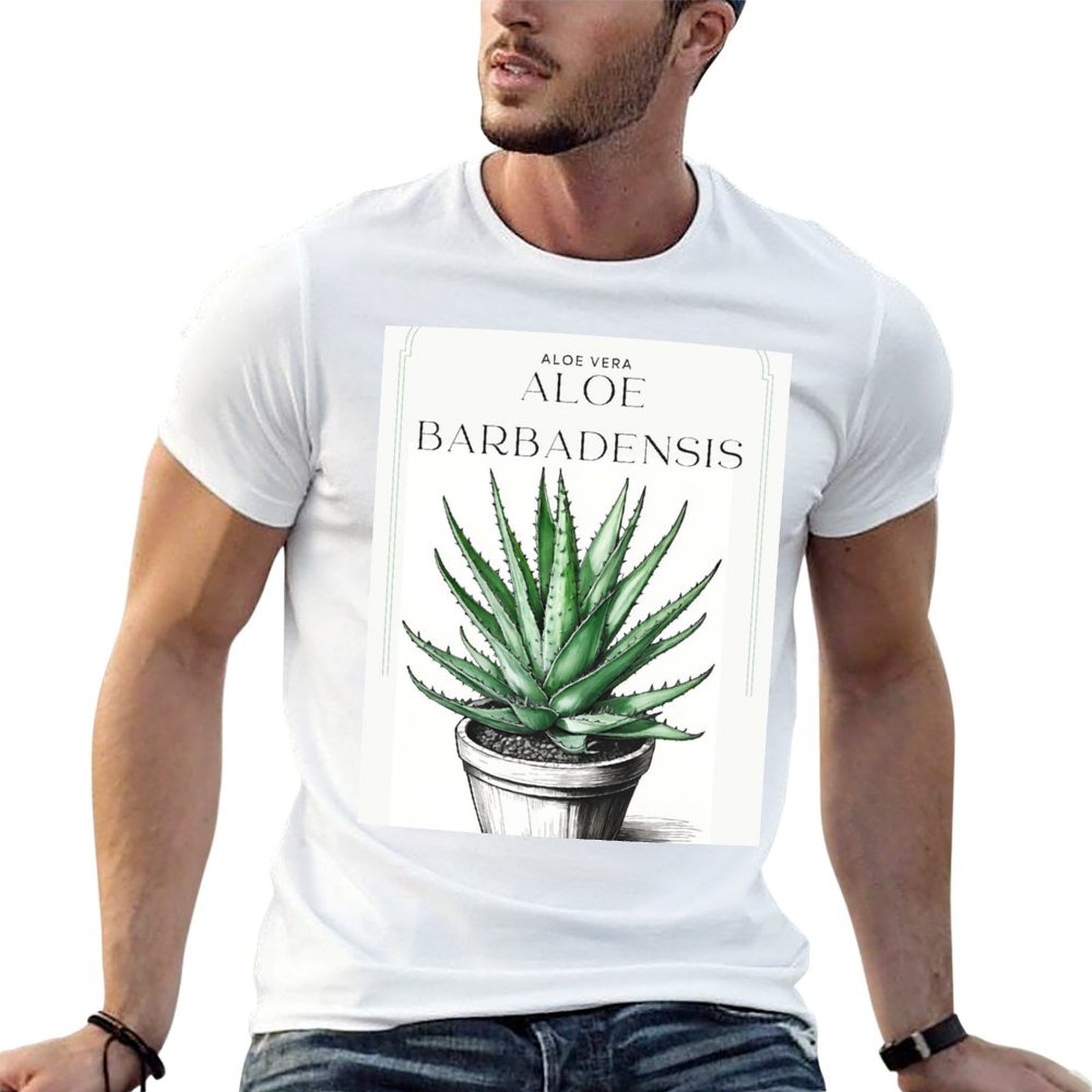Botanical Aloe Vera in pot rus - огляд і ціна Aloe Vera Pot