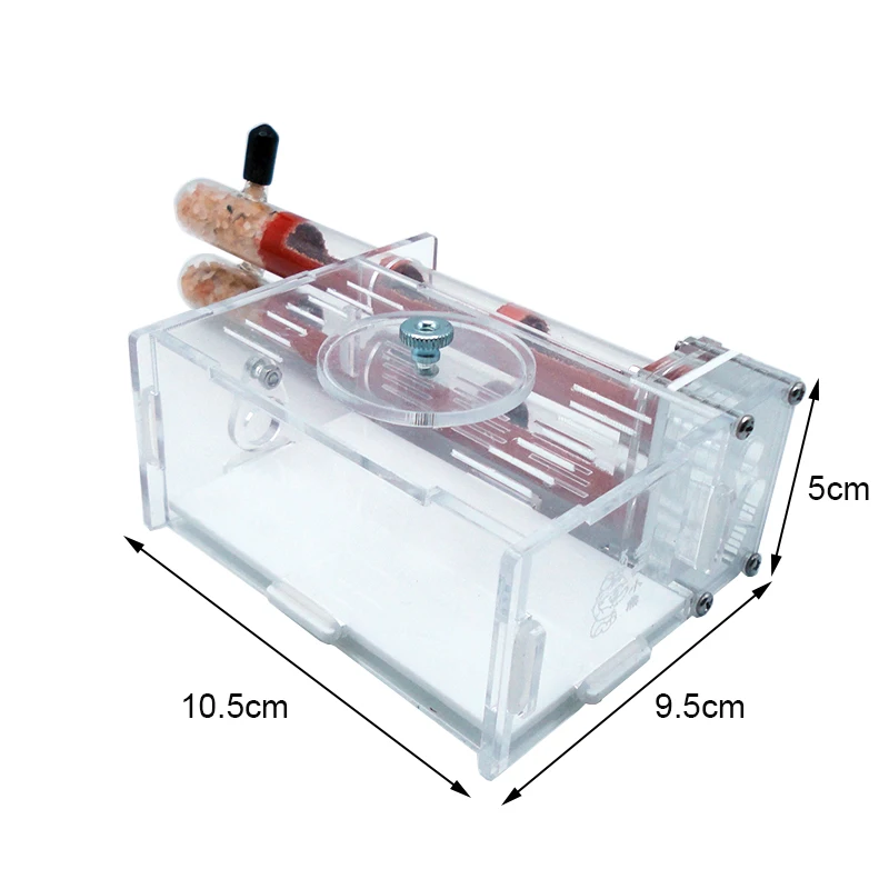 DIY Ant Farm 2 pcs 18-180mm Gy - огляд і ціна Begonia Rex