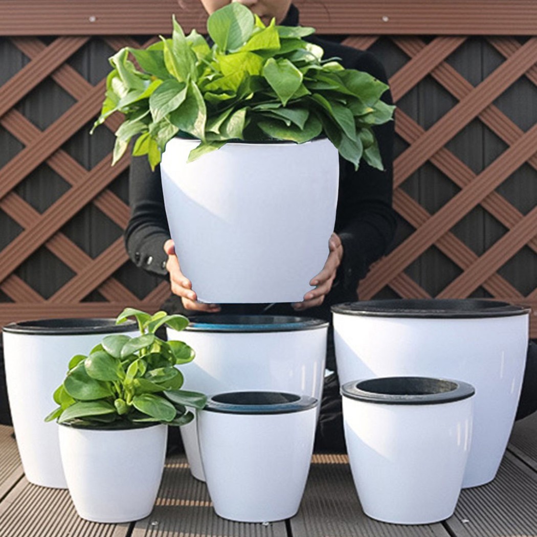 Automatic Watering Flower Plan - огляд і ціна Aloe Vera Pot