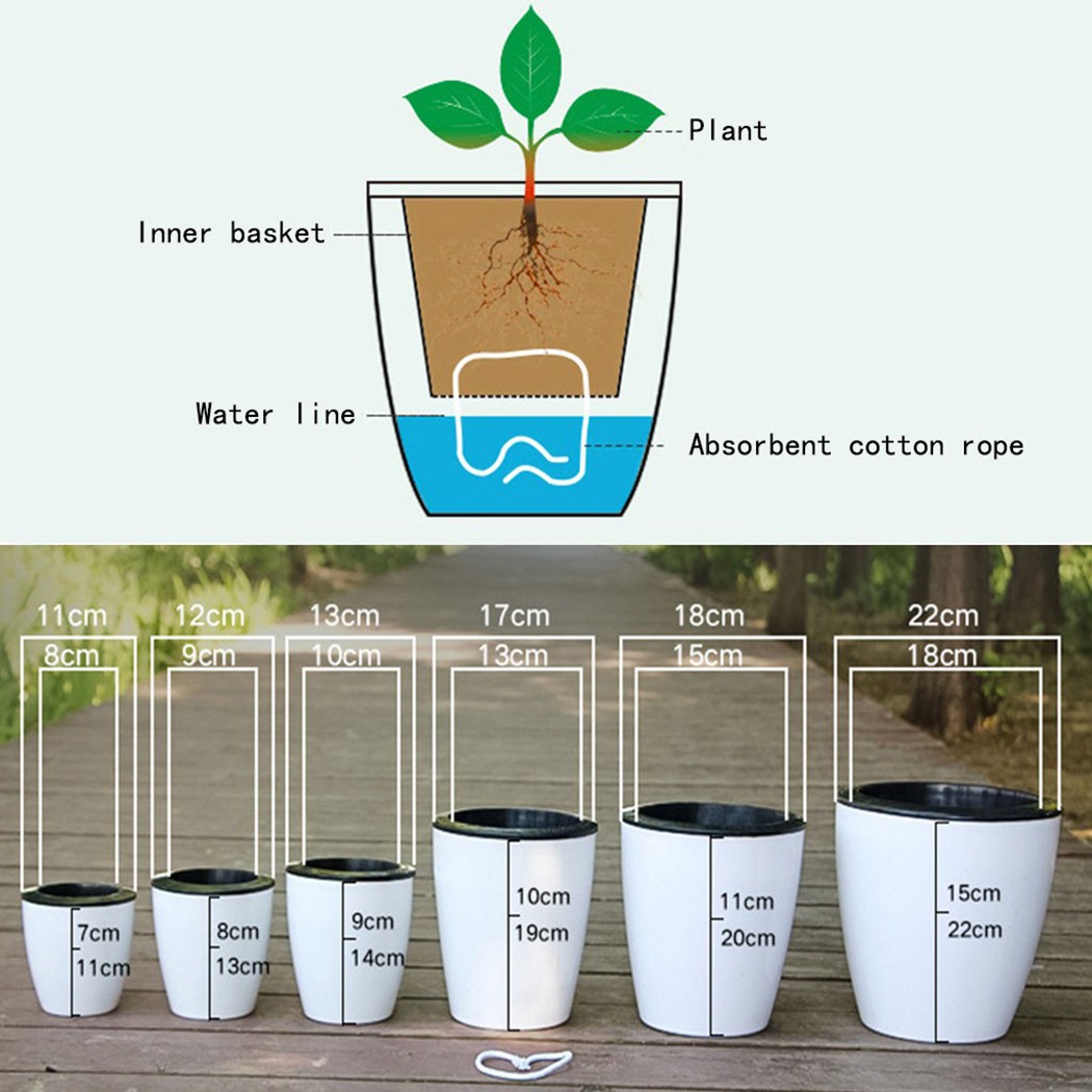 Automatic Watering Flower Plan - огляд і ціна Aloe Vera Pot